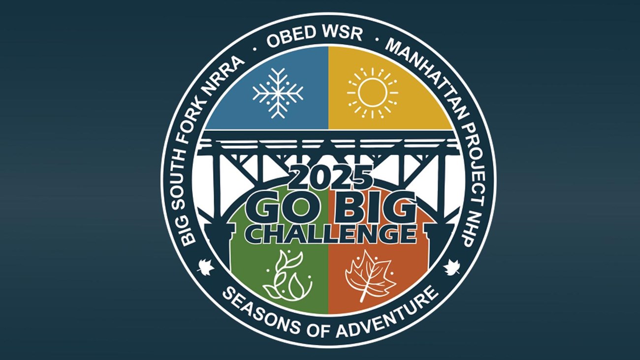 2025 Go Big Challenge logo features seasons, a bridge, park names, and "Seasons of Adventure."