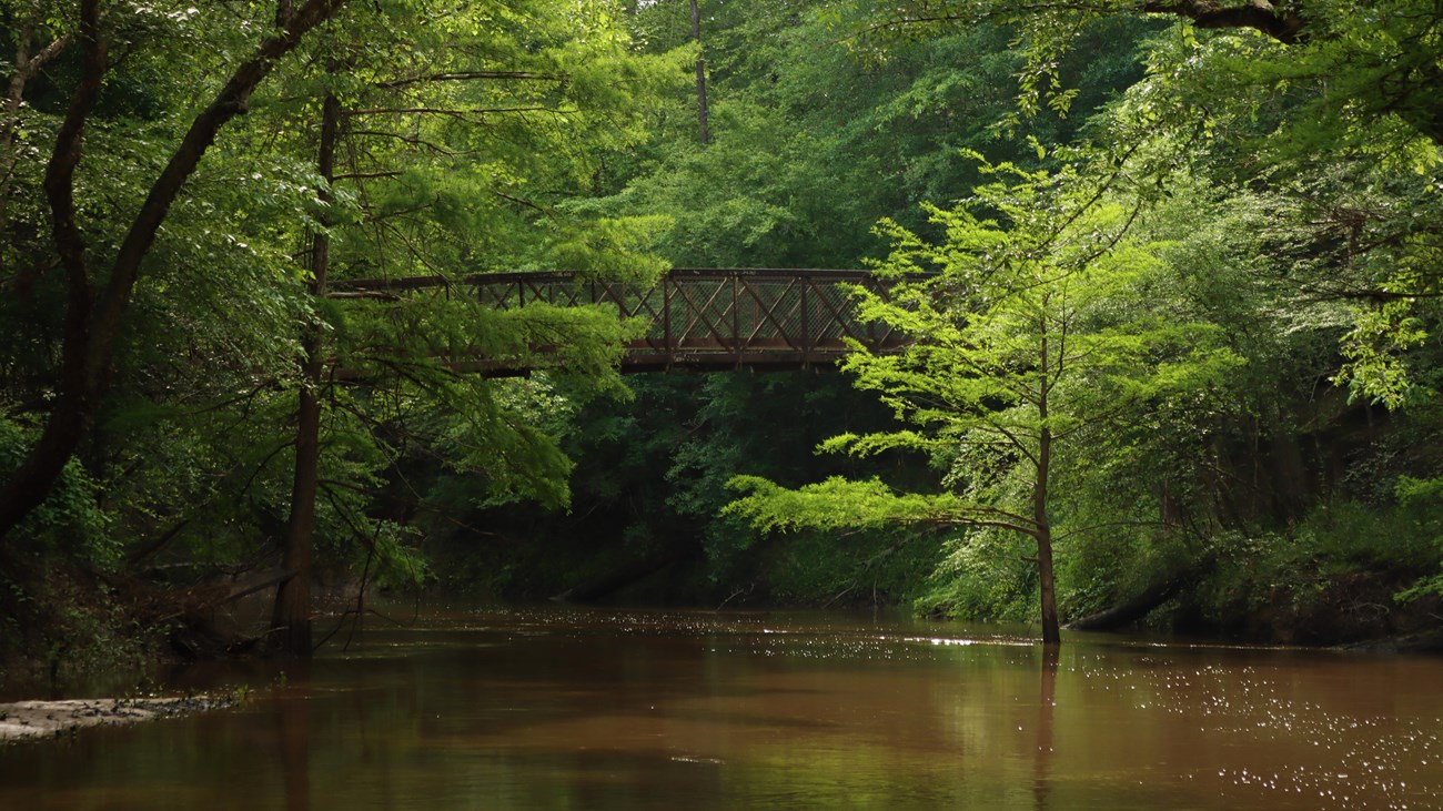 An iron bridge spanning a murky creek, lined with dark dense woods.