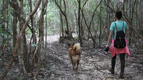 Things To Do - Big Thicket National Preserve (U.S. National Park Service)