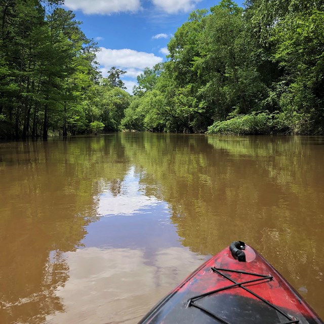 first person view of a kayak on the river