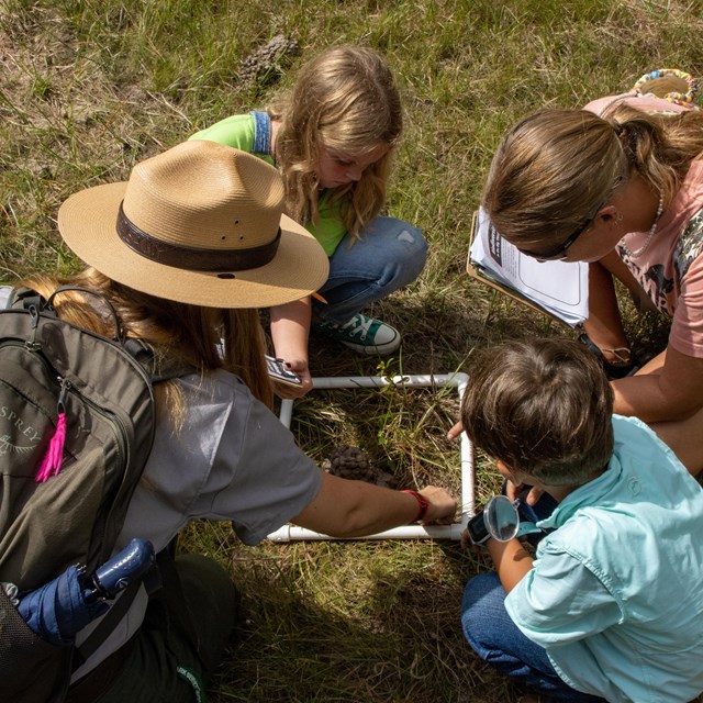 A park ranger and three students squat around a plastic square, inspecting what's inside.