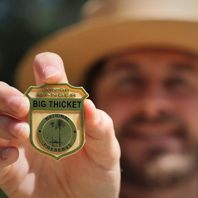 A Park Ranger holds out a golden Big Thicket Junior Ranger Badge