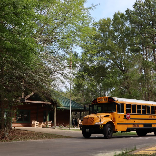 A big, yellow school bus arrives at the Big Thicket Visitor Center. 