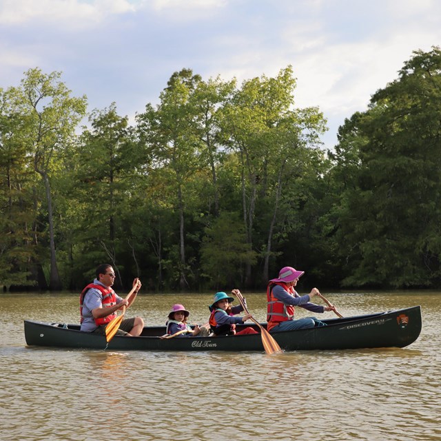 A family of four with two young children paddle together in a green canoe on still water.