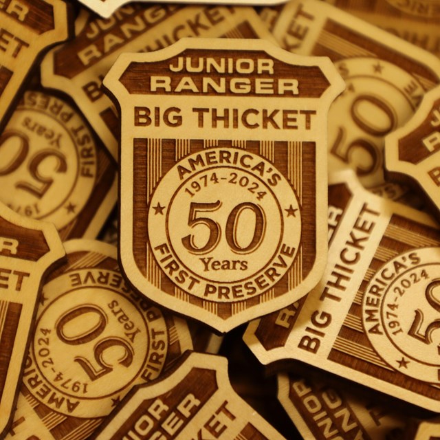 a pile of junior ranger badges that say Big Thicket: 50 years America's First Preserve