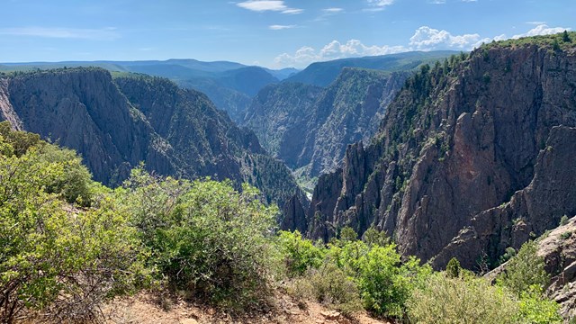 Clear view of a canyon with dark, steep walls. Green foliage in foreground. Blue clear sky.