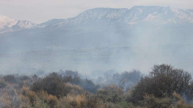 Small clouds of smoke rise from a sagebrush area during a prescribed burn.