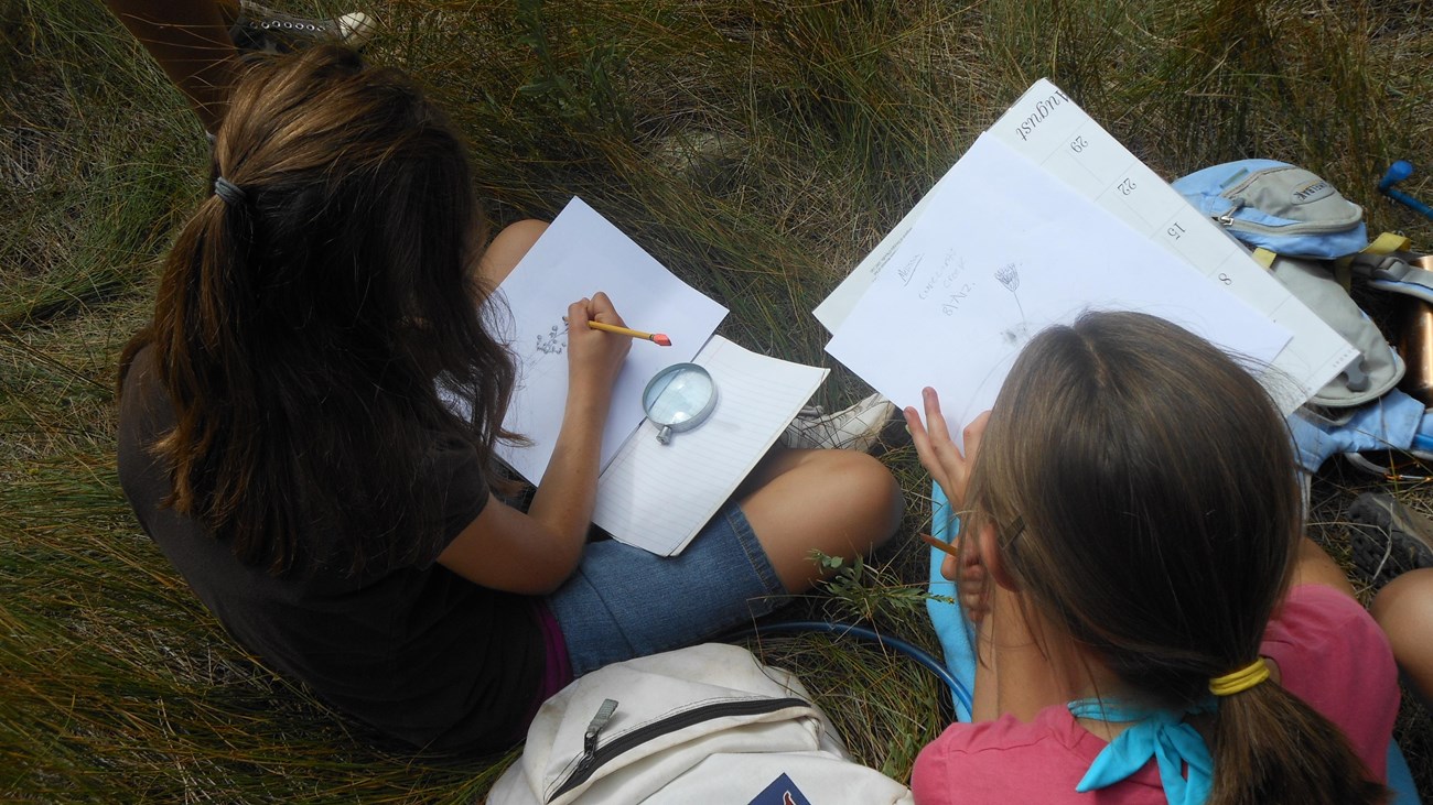 A group of students sitting on the ground and completing worksheets