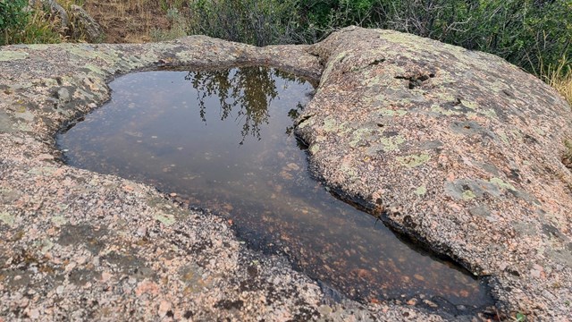 A full pothole on a lichen covered rock. Green vegetation is in the background.