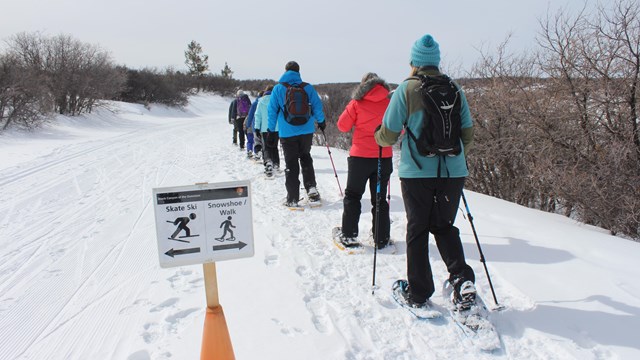 Group of people dressed in winter clothing and wearing snowshoes walk in a line on a snowy road.