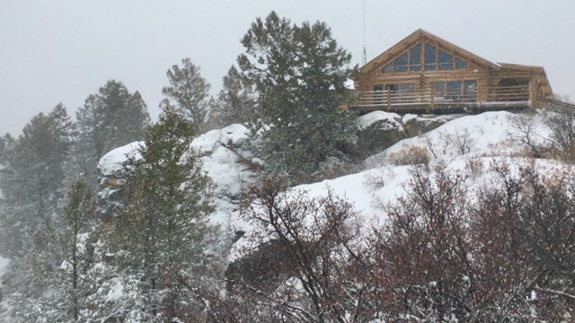 A log cabin style building with large windows is surrounded by conifer trees and snow