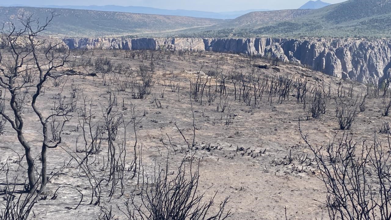 Burned and treeless landscape with canyon and blue sky in background