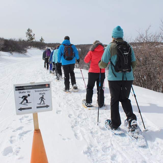 Group of people dressed in winter clothing and wearing snowshoes walk in a line on a snowy road.