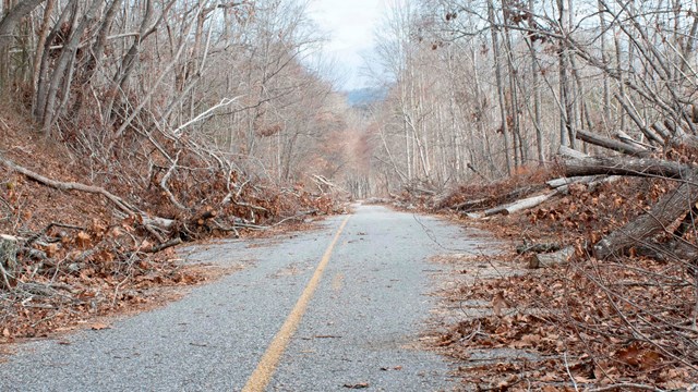 debris damage on the Parkway