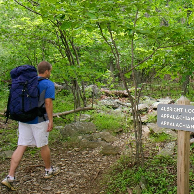 A hiker with a backpack heads into the forest on a trail