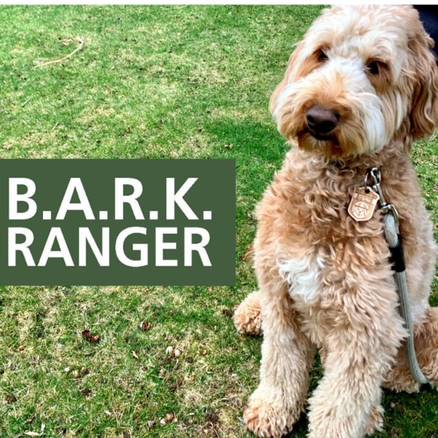 B.A.R.K. Ranger wearing badge