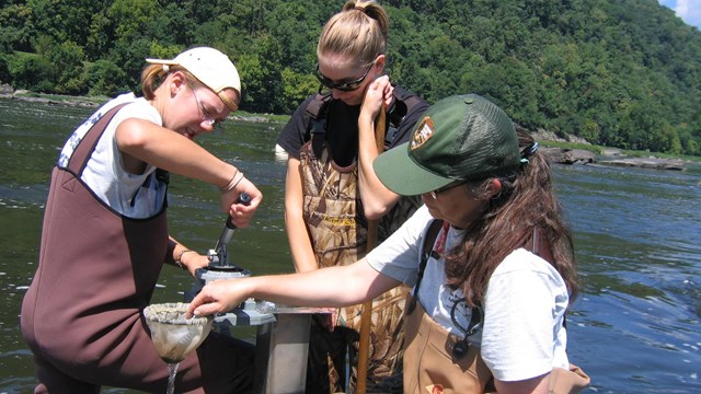Ranger and volunteers collecting macro-invertebrates in the river