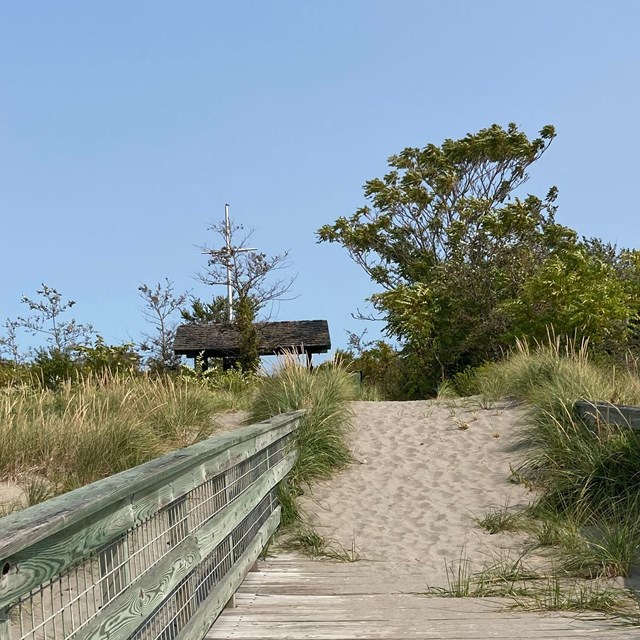 View of walking on a wooden pier to a sandy beach with tall grass on either side.