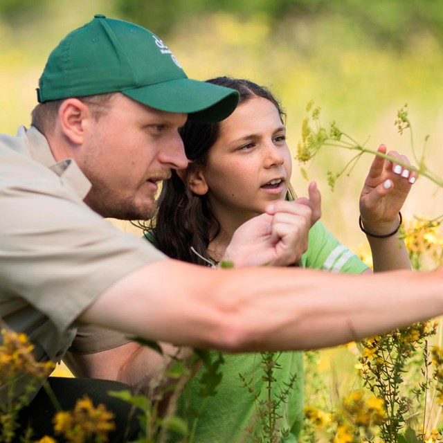 A male park ranger and a young girl kneel down to look at yellow flowers.