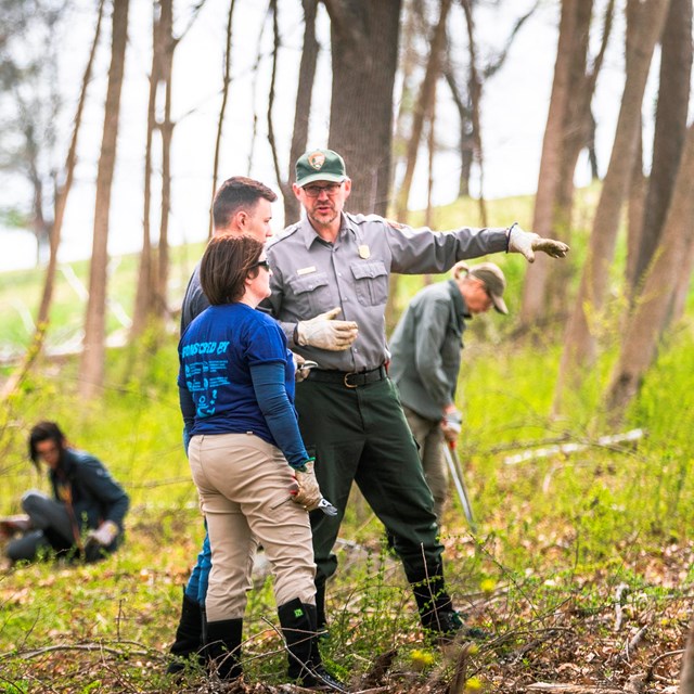 A uniformed ranger speaks to a group of volunteers standing in a grassy wooded area. 