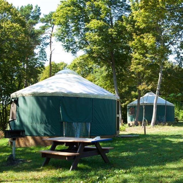 Green tent structures on wooden bases
