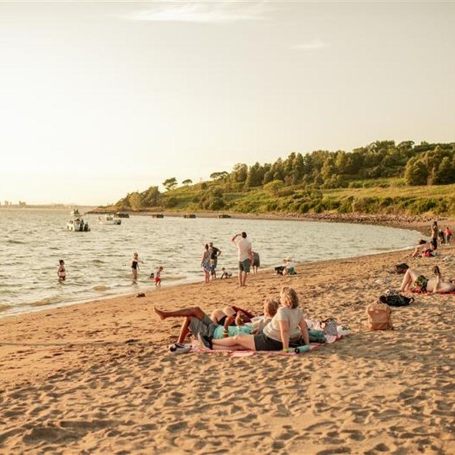View of the Spectacle beach at sunset with people on the beach and swimming in the water