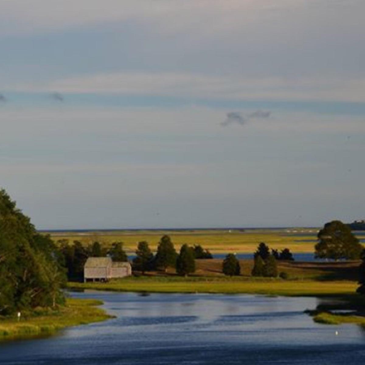 View of Salf Pond, a marshy area with water and a small hut.