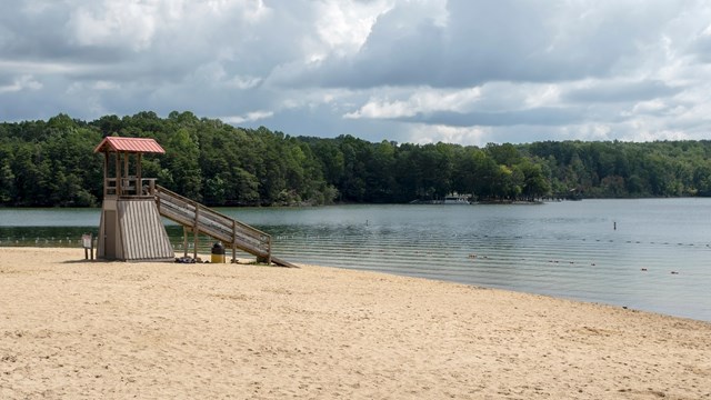 A sandy beach with a lake and a forested area along the back shoreline. 