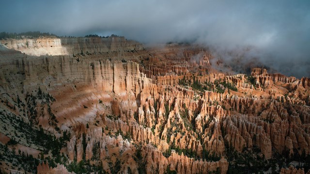 Fog hovers above red rock formations.