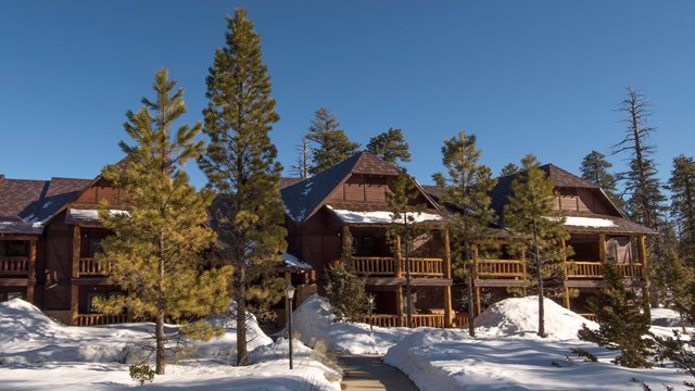 The front of a group of cabins made of wood and surrounded by trees at the lodge 