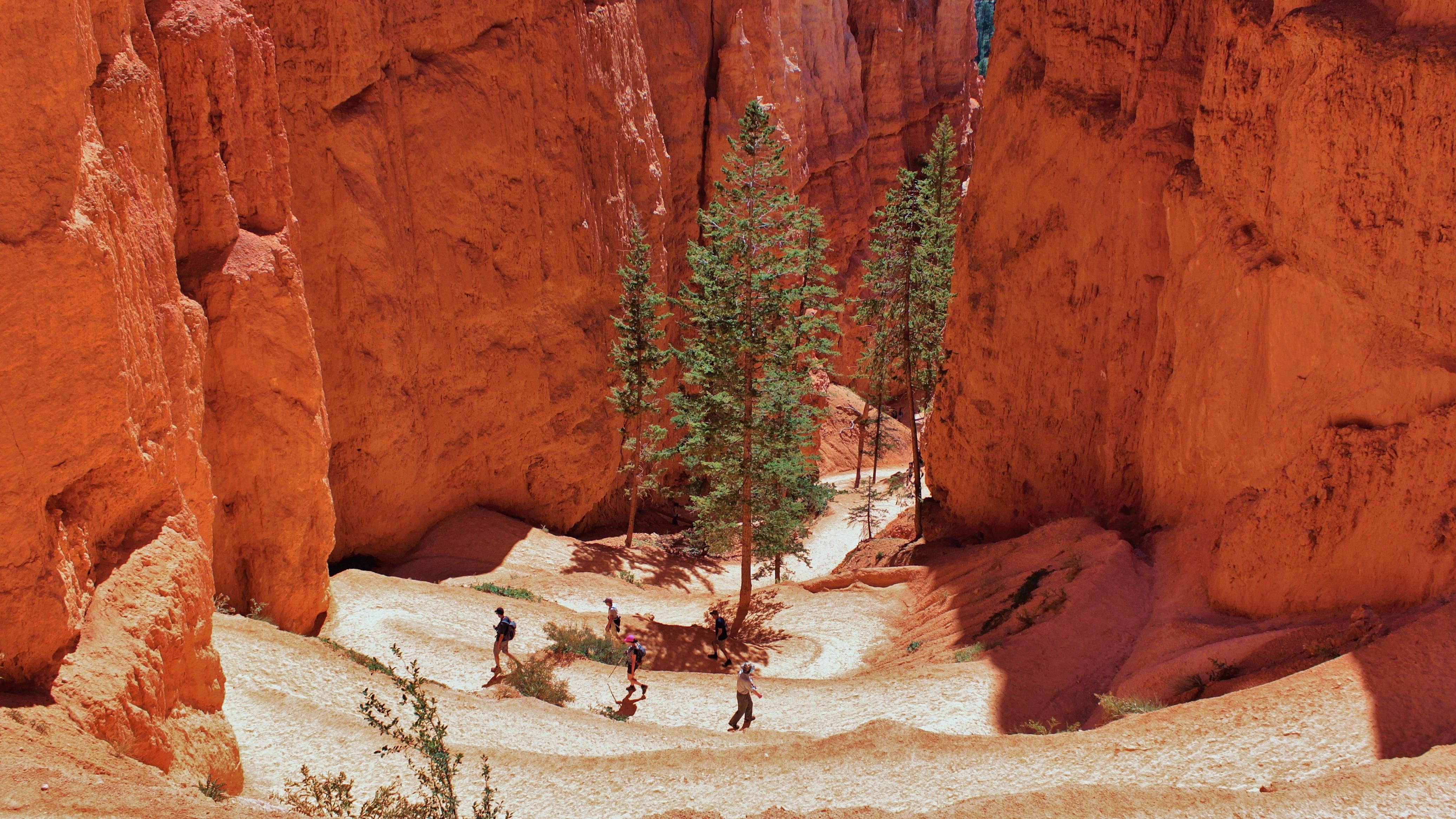 Hikers descend a series of switch backs between red rock walls