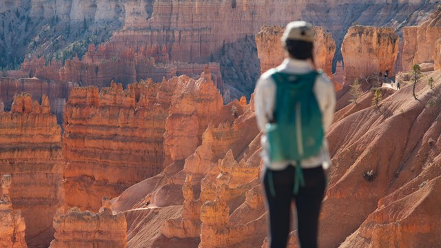 A visitor with a backpack looks out over a red rock landscape.
