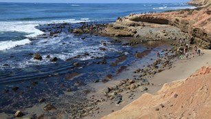 Photo of Low Tide in the Tidepools at Cabrillo