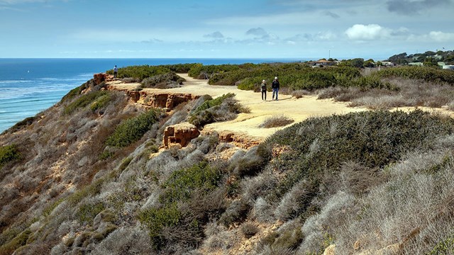 A modern photo of a cliff with a visible trail and the ocean. 