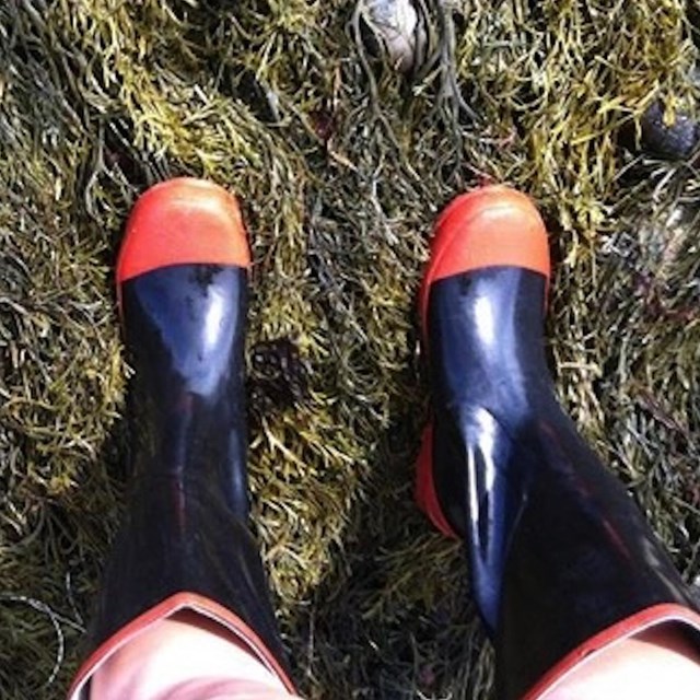 Photo of boots worn by someone in the tidepools