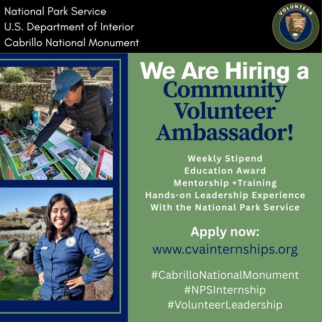 Flyer advertising for Community Volunteer Ambassador