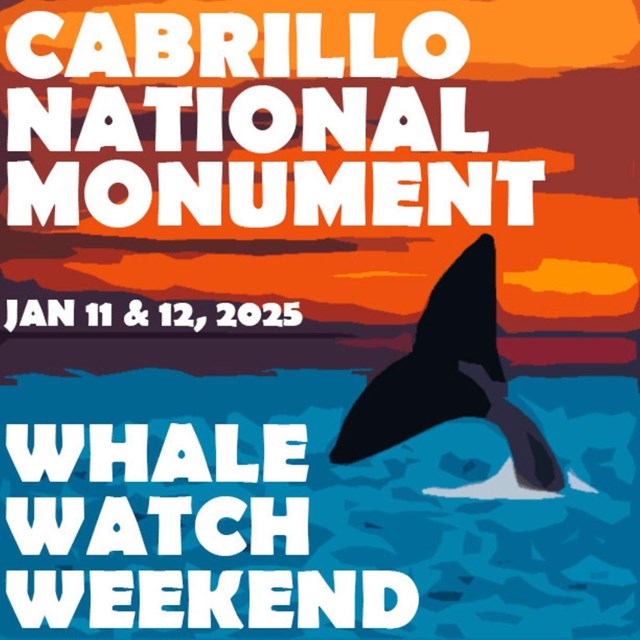 Flyer with whale art reads “Cabrillo National Monument. Jan 11 & 12, 2025. Whale Watch Weekend.”