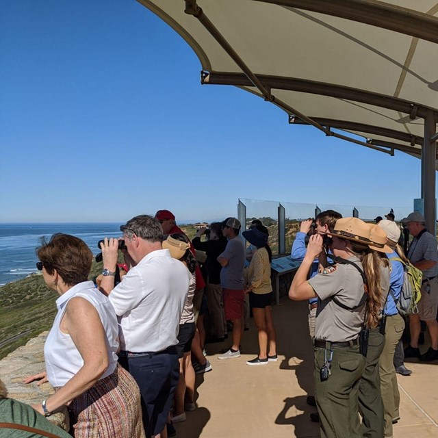  Park rangers and visitors with binoculars look out to sea from Whale Watch Overlook.