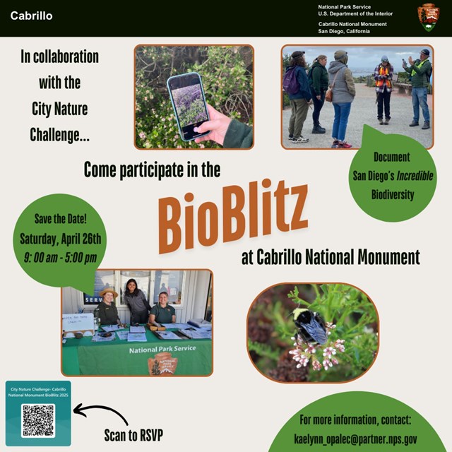A flyer with the event information features flowers, participants and park staff, and a bee.
