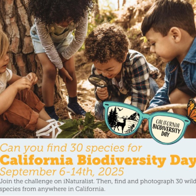 Children look at plant with magnifying lens over California Biodiversity Day 2025 dates.