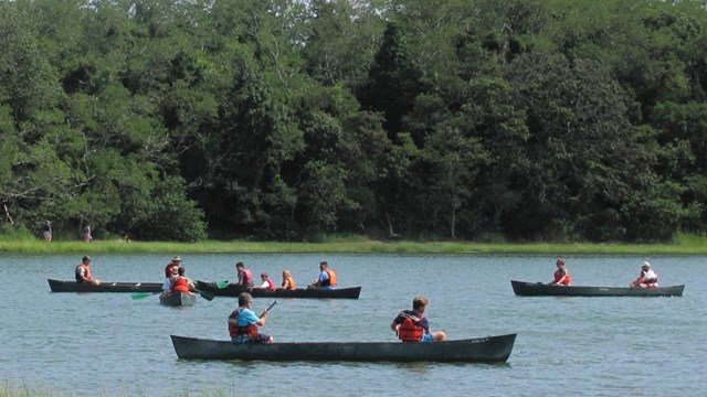 Several canoes with occupants in life vests glide across a clam pond surface under a blue sky.