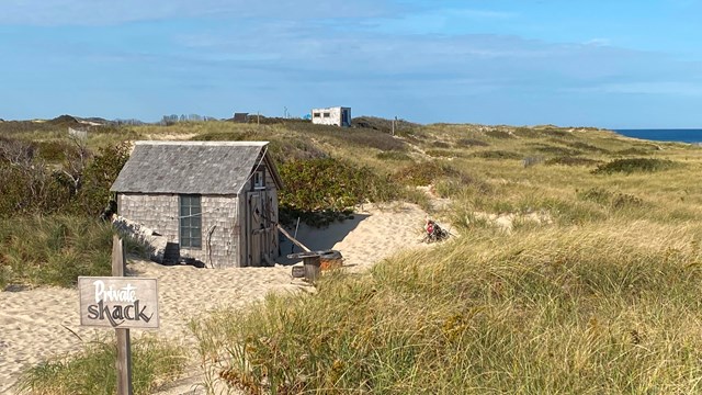 A dune shack sits amongst a dune landscape.