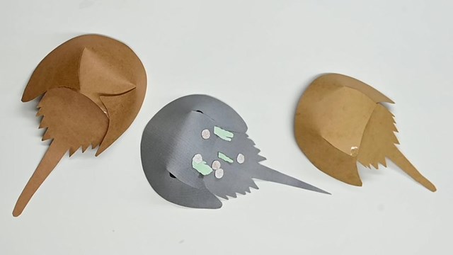 Homemade paper horseshoe crabs