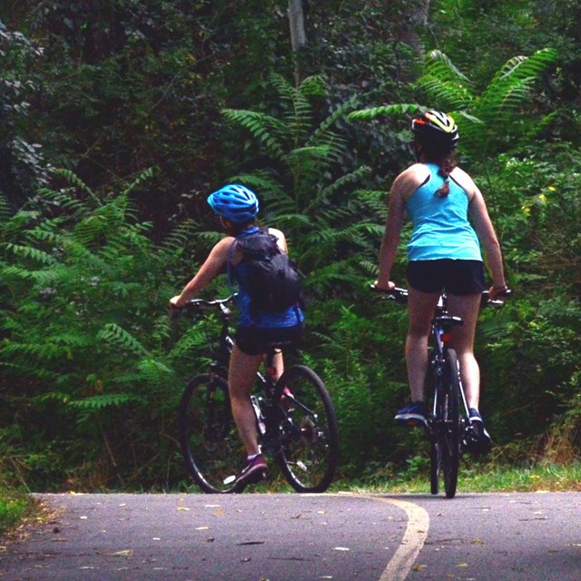Bicyclists wearing helmets ride along a paved wooded trail.