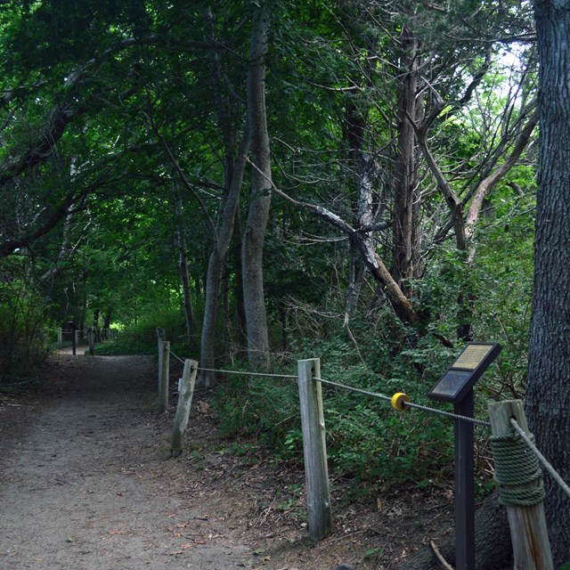 A trail with a rope railing extends through a forested area. A sign is placed in front of a tree.