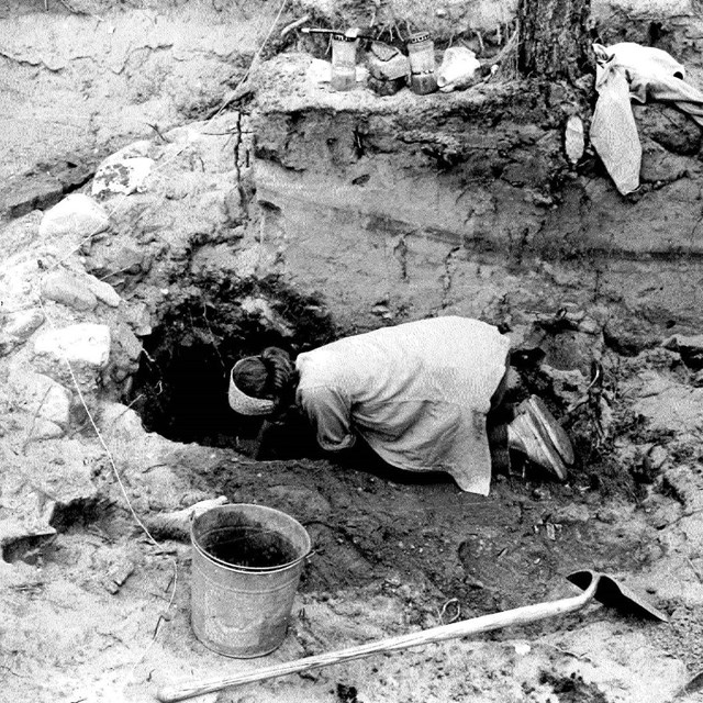 Female archaeologists works on excavation surrounded by tools.