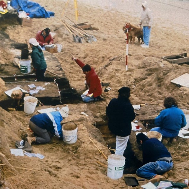 Multiple people dig in the sand on a beach to complete an archaeological excavation.