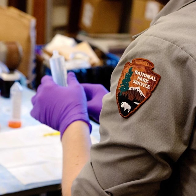 A screenshot of the first half of a page of a report about birds and climate change.