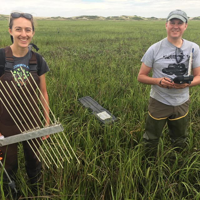 Two scientists stand in tall grass salt marsh holding scientific instruments.