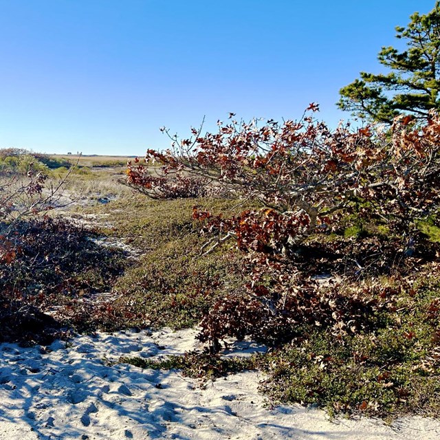 A landscape photo showing a coastal plain.